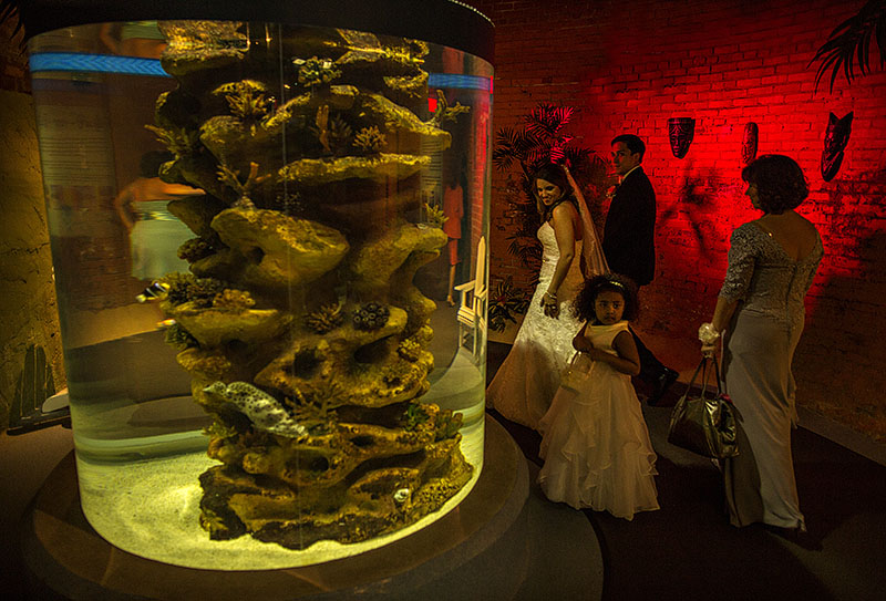 AE-cleveland-aquarium-wedding-01