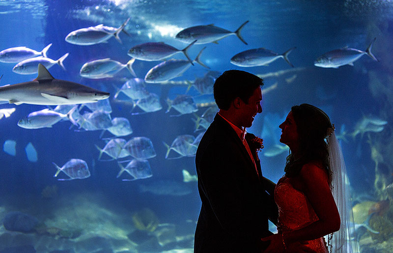 AE-cleveland-aquarium-wedding-02